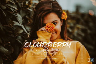 Download Cloudberry Lightroom Preset - Premium Resources