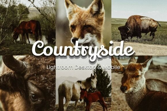 Download 30 Countryside Lightroom Bundle - Premium Resources