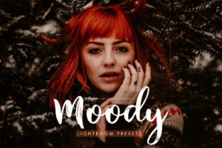 Download Moody Presets for Desktop + Mobile - Premium Resources
